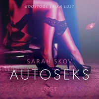 Autoseks - Erootiline lühijutt