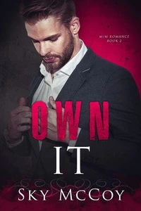 Own It Book 2 Fascination Series