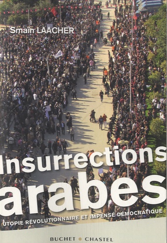 Insurrections arabes. Utopie révolutionnaire et impensé démocratique