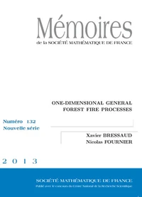 One Dimensional General Forest Fire Processes