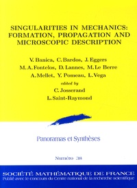 Christophe Josserand et Laure Saint-Raymond - Panoramas et synthèses N° 38/2012 : Singularities in Mechanics: Formation, Propagation and Microscopic Description.