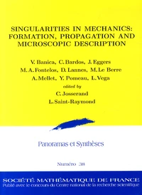 Singularities in Mechanics: Formation, Propagation and Microscopic Description