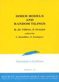 Dimer Models and Random Tilings