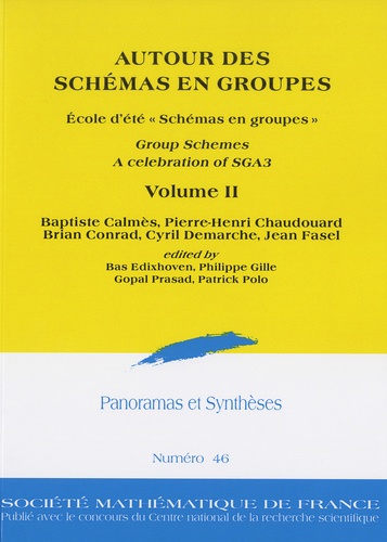 Baptiste Calmès et Pierre-Henri Chaudouard - Panoramas et synthèses N° 46 : Autour des schémas en groupes - Volume 2.