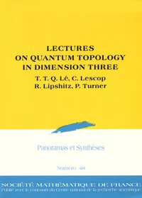 Lectures on quantum topology in dimension three