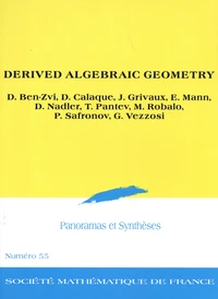 Derived Algebraic Geometry