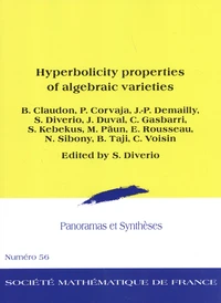 Hyperbolicity properties of algebraic varieties