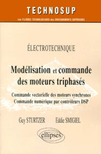 Modelisation Et Commande Des Moteurs Triphases. Commande Vectorielle Des Moteurs Synchrones Et Commande Numerique Par Controleurs Dsp
