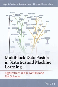 Multiblock Data Fusion in Statistics and Machine Learning