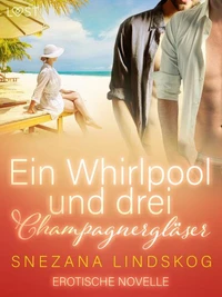 Ein Whirlpool und drei Champagnergläser - Erotische Novelle