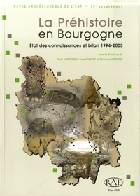 La Préhistoire en Bourgogne : état des connaissances et bilan 1994-2005