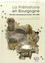 Revue archéologique de l'Est Supplément N° 39 La Préhistoire en Bourgogne : état des connaissances et bilan 1994-2005