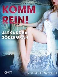 Komm rein! Erotische Novelle