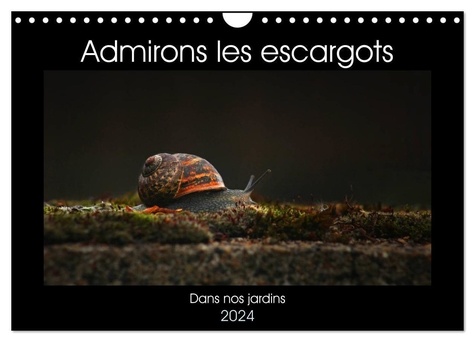 Ladan Christina - CALVENDO Animaux  : Admirons les escargots (Calendrier mural 2024 DIN A4 vertical), CALVENDO calendrier mensuel - Dans nos jardins.