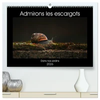 Admirons les escargots  (Calendrier mural 2026 DIN A2 vertical) calendrier de bureau