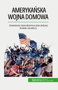 Amerykańska wojna domowa