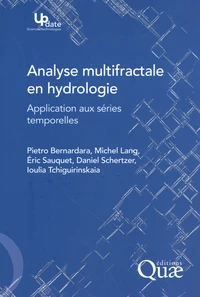 Analyse multifractale en hydrologie