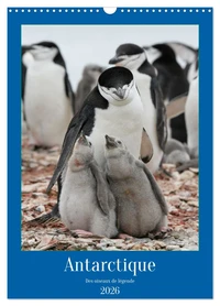 Antarctique des oiseaux de légende (Calendrier mural 2026 DIN A3 horizontal), CALVENDO calendrier mensuel