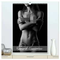 Apparat lumineux (Calendrier mural 2026 DIN A2 horizontal) calendrier de bureau