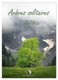 Arbres solitaires (Calendrier mural 2027 DIN A2 horizontal), CALVENDO calendrier mensuel
