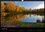 Autour du lac. Lac d'Episy, près de Fontainebleau  Edition 2020
