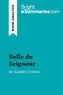 Summaries Bright - BrightSummaries.com  : Belle du Seigneur by Albert Cohen (Book Analysis) - Detailed Summary, Analysis and Reading Guide.