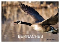 BERNACHES (Calendrier mural 2026 DIN A3 vertical), CALVENDO calendrier mensuel