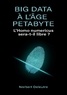 Norbert Deleutre - Big data à l'âge Petabyte - L'Homo numericus sera-t-il libre ?.