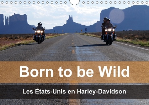 Born to be wild - les Etats-Unis en Harley-Davidson. Les magnifiques paysages du Sud-Ouest américain vus de la selle d'une Harley. Calendrier mural A4 horizontal 2017