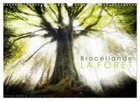 BROCELIANDE, la forêt (Calendrier mural 2026 DIN A3 vertical), CALVENDO calendrier mensuel