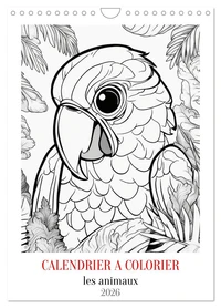 Calendrier à colorier (Calendrier mural 2026 DIN A4 horizontal), CALVENDO calendrier mensuel