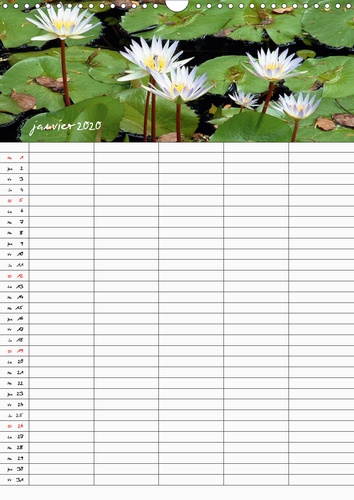 Calendrier Fleurs tropicales / organiseur familial  Edition 2020