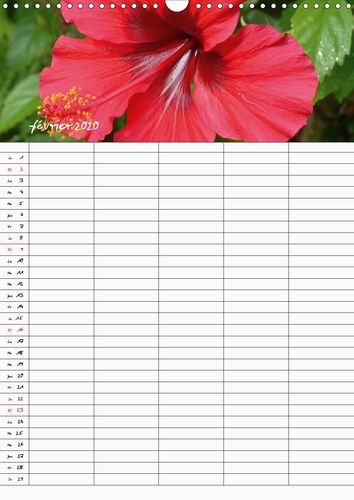 Calendrier Fleurs tropicales / organiseur familial  Edition 2020