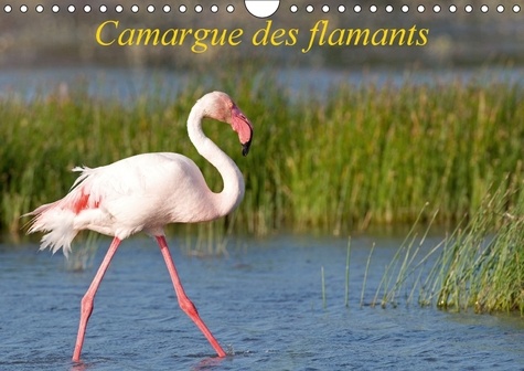 Camargue des flamants. La Camargue, ses flamants et ses ciels magnifiques et changeants. Calendrier mural A4 horizontal  Edition 2017