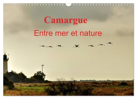 Didier Sibourg - CALVENDO Places  : Camargue Entre mer et nature (Calendrier mural 2024 DIN A3 vertical), CALVENDO calendrier mensuel - Au coeur de la Camargue, entre mer et marais salants..