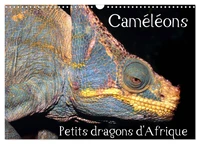Caméléons - Petits dragons d'Afrique. (Calendrier mural 2026 DIN A3 vertical), CALVENDO calendrier mensuel