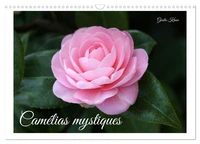 Camélias mystiques (Calendrier mural 2026 DIN A3 vertical), CALVENDO calendrier mensuel