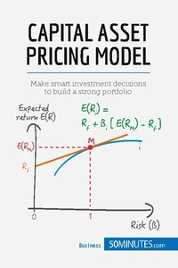 Capital Asset Pricing Model