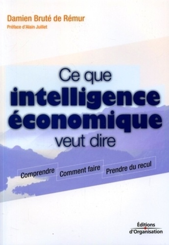 Damien Bruté de Rémur - Ce que l'intelligence économique veut dire.