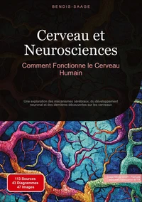 Cerveau et neurosciences : comment fonctionne le cerveau humain ?