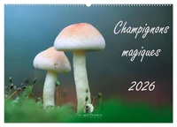 Champignons magiques (Calendrier mural 2026 DIN A2 vertical), CALVENDO calendrier mensuel