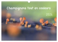 Champignons tout en couleurs (Calendrier mural 2026 DIN A3 vertical), CALVENDO calendrier mensuel