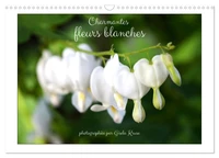 Charmantes fleurs blanches (Calendrier mural 2026 DIN A3 vertical), CALVENDO calendrier mensuel