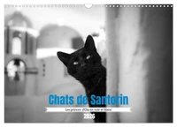 Chats de Santorin - Les princes d'Oia en noir et blanc (Calendrier mural 2026 DIN A3 vertical), CALVENDO calendrier mensuel
