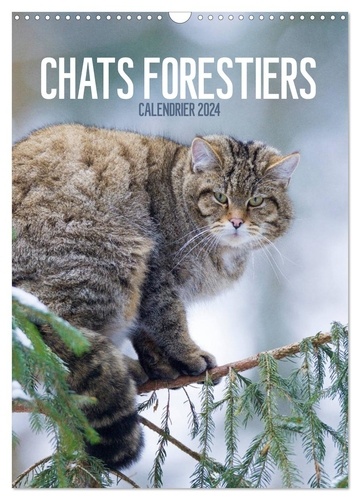 CALVENDO Animaux . Chats forestiers (Calendrier de Christina Krutz -  Livre - Decitre