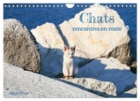 Gisela Kruse - CALVENDO Animaux  : Chats - rencontres en route (Calendrier mural 2024 DIN A4 vertical), CALVENDO calendrier mensuel - En Europe du Sud, on trouve des chats errants presque partout.