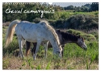 Photographe francis Demange - CALVENDO Animaux  : Cheval camarguais (Calendrier mural 2024 DIN A3 vertical), CALVENDO calendrier mensuel - La beauté du cheval semi-sauvage.