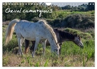 Photographe francis Demange - CALVENDO Animaux  : Cheval camarguais (Calendrier mural 2024 DIN A4 vertical), CALVENDO calendrier mensuel - La beauté du cheval semi-sauvage.