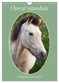 Cheval islandais - Calendrier anniversaire (Calendrier mural 2026 DIN A4 horizontal), CALVENDO calendrier mensuel