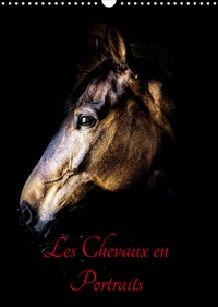 Xavier Bertrand - CALVENDO Animaux  : Chevaux en Portraits (Calendrier mural 2023 DIN A3 vertical) - Portraits de chevaux en liberté et studio (Calendrier mensuel, 14 Pages ).